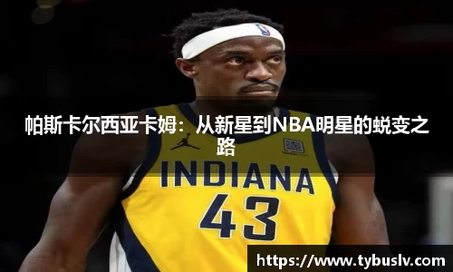ballbet贝博官网