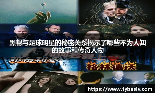 BB贝博艾弗森官网