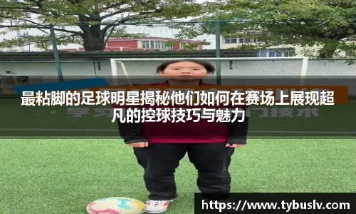 bb贝博艾弗森官方网站