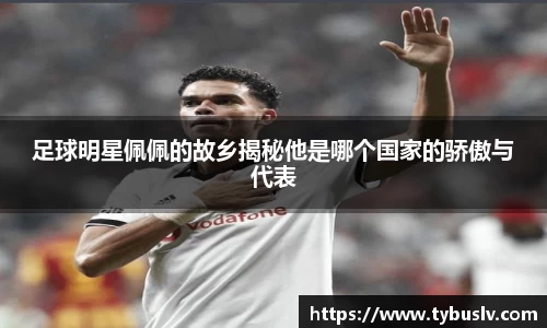 足球明星佩佩的故乡揭秘他是哪个国家的骄傲与代表