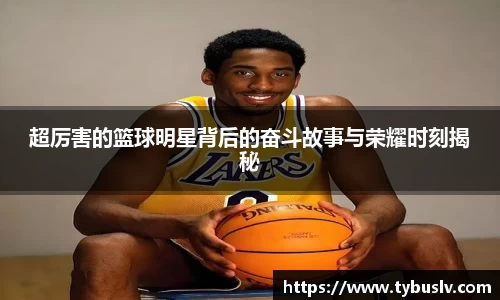 bb贝博艾弗森官方网站
